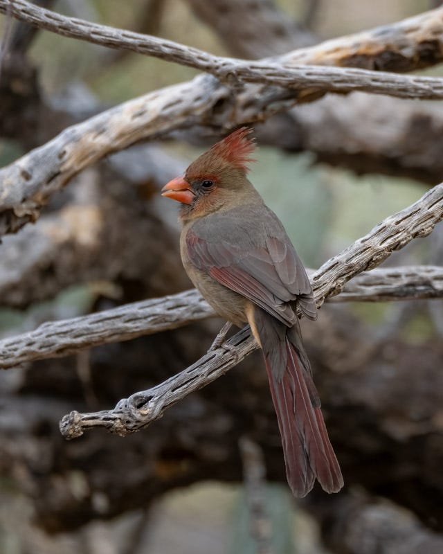 20250127-MBY-34-Edit.jpg 20250127-MBY-34-Edit.jpg