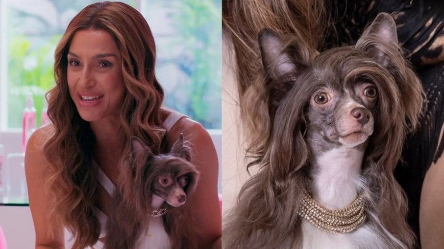 Sumiço de Lolindo, pet de Lola Argento, é explicado por autor