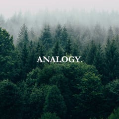 Substack profile picture for @analogy