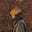 Copenhagen Collection's avatar