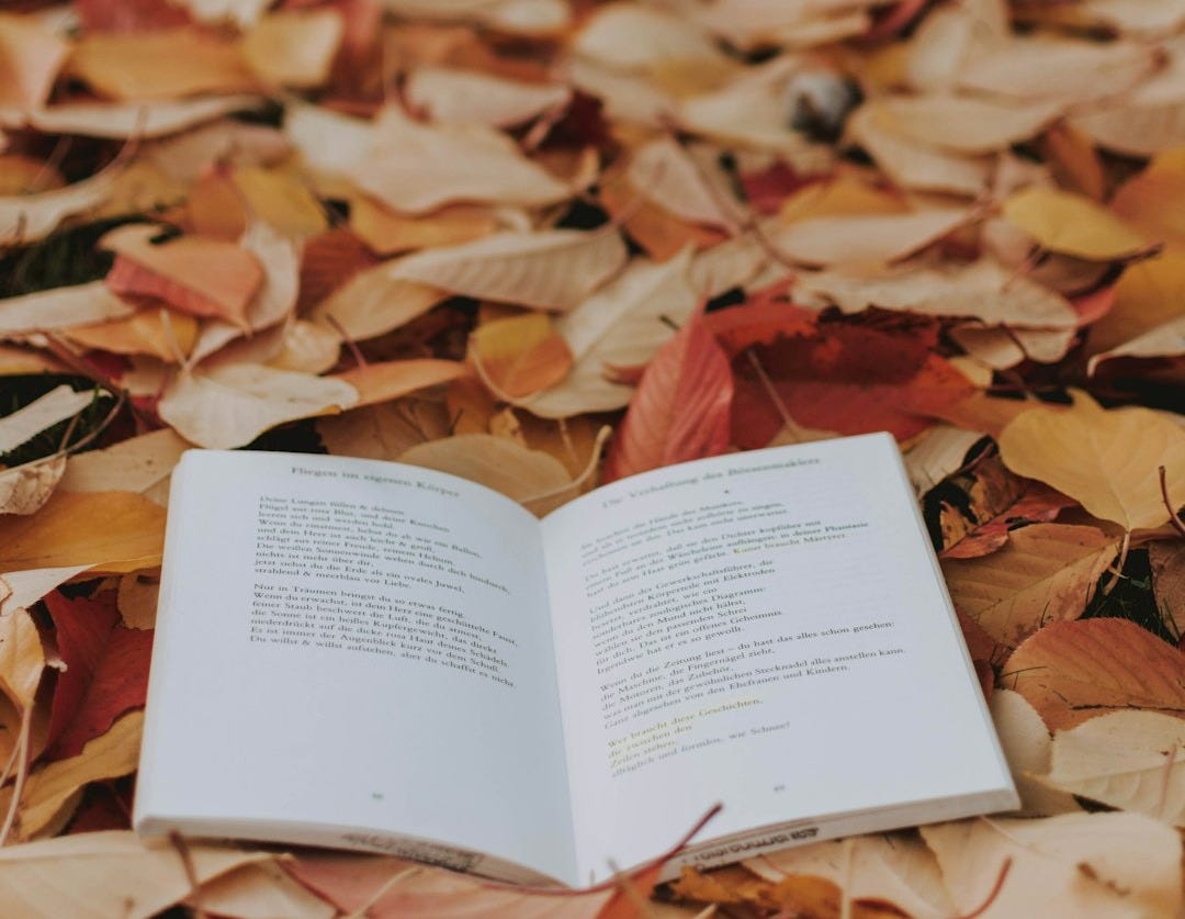 open book on a pile of orange leaves