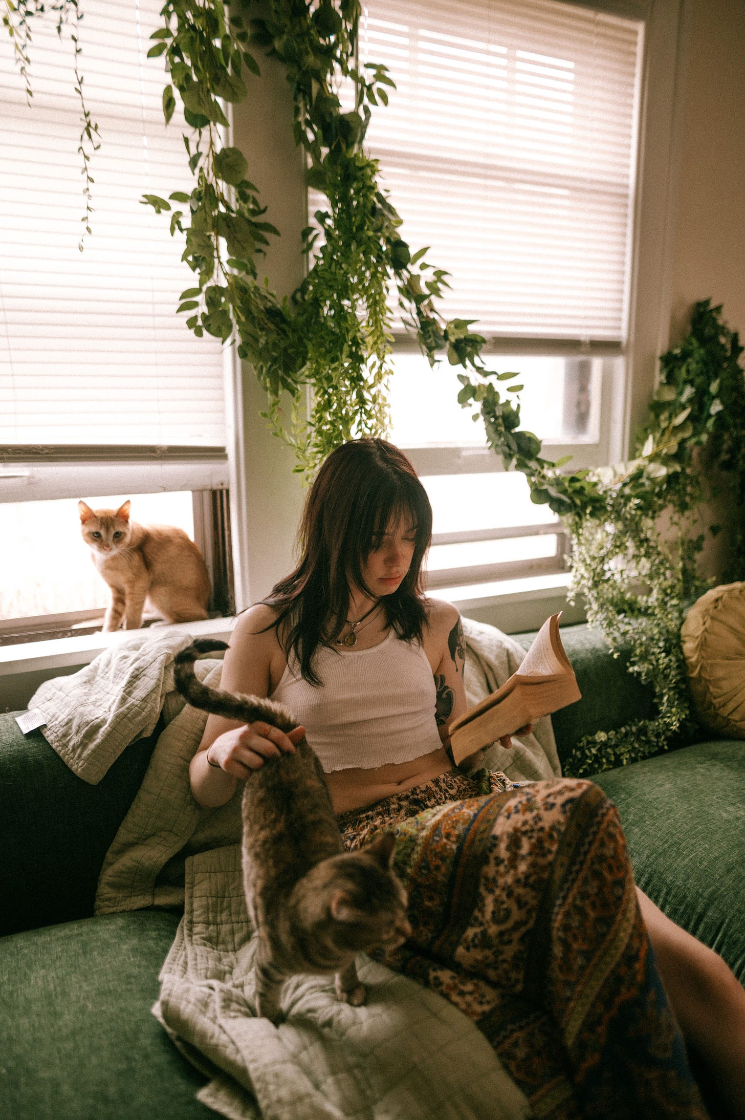 A woman reads on a sofa with cats beside her, surrounded by houseplants. A woman reads on a sofa with cats beside her, surrounded by houseplants.