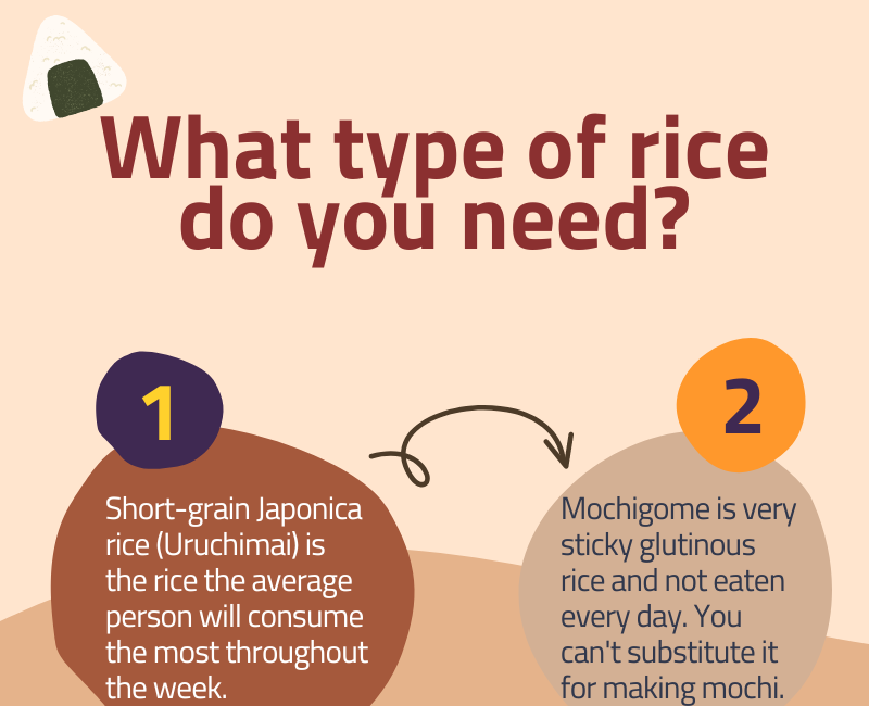 A Visual Guide to Japanese Rice