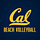 X avatar for @CalBeachVB