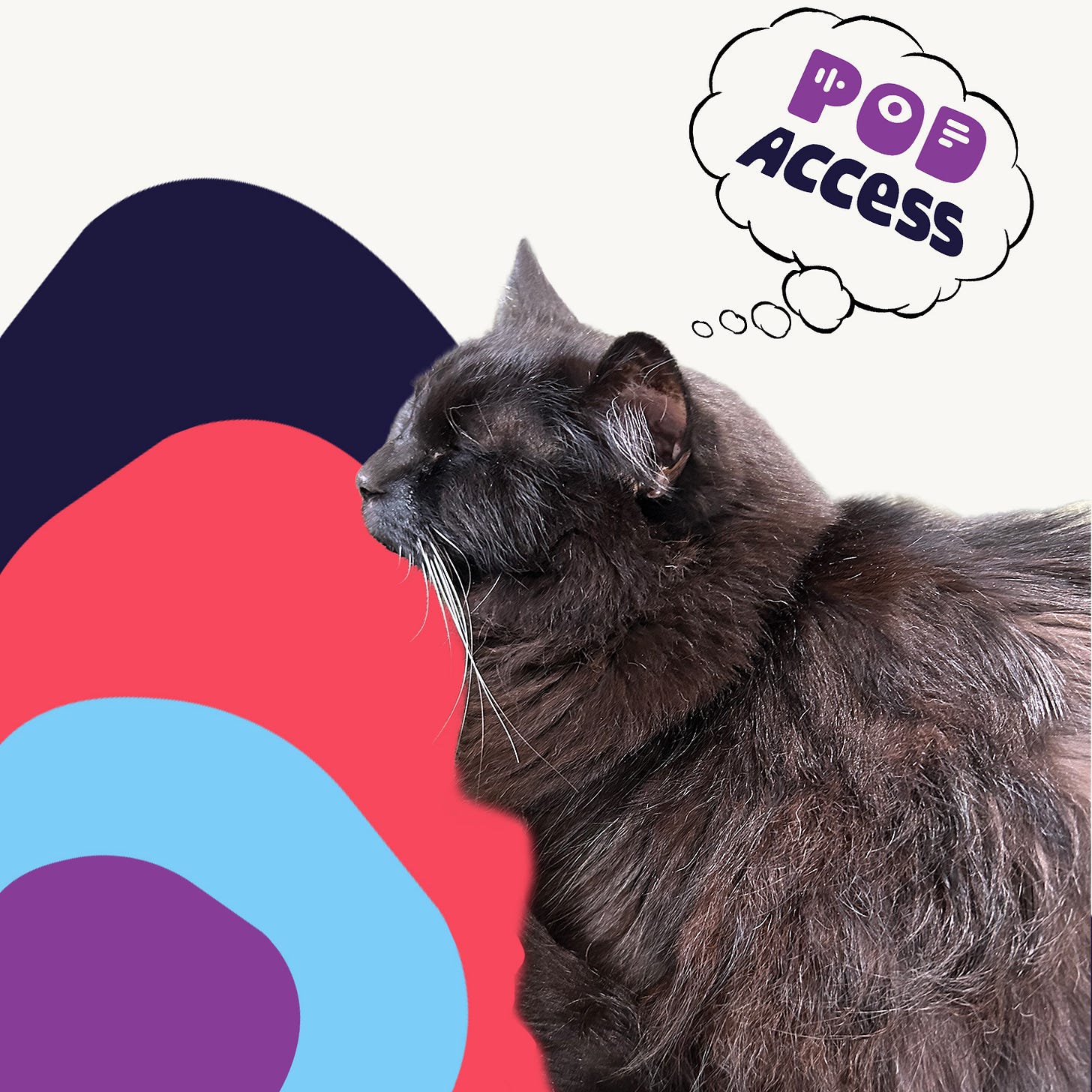 Full description of the sleeping pod cat is in the post.