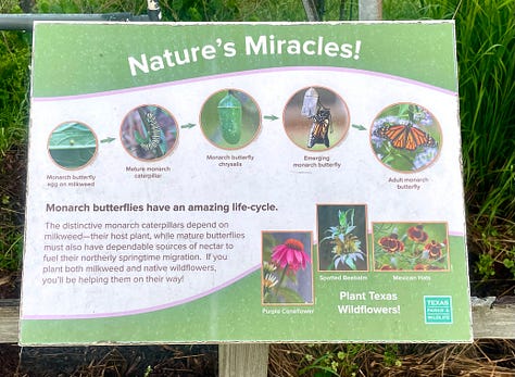 Photos taken outside of the Monarch Butterfly Pavilion of the windmill and the placards explaining the migration route.