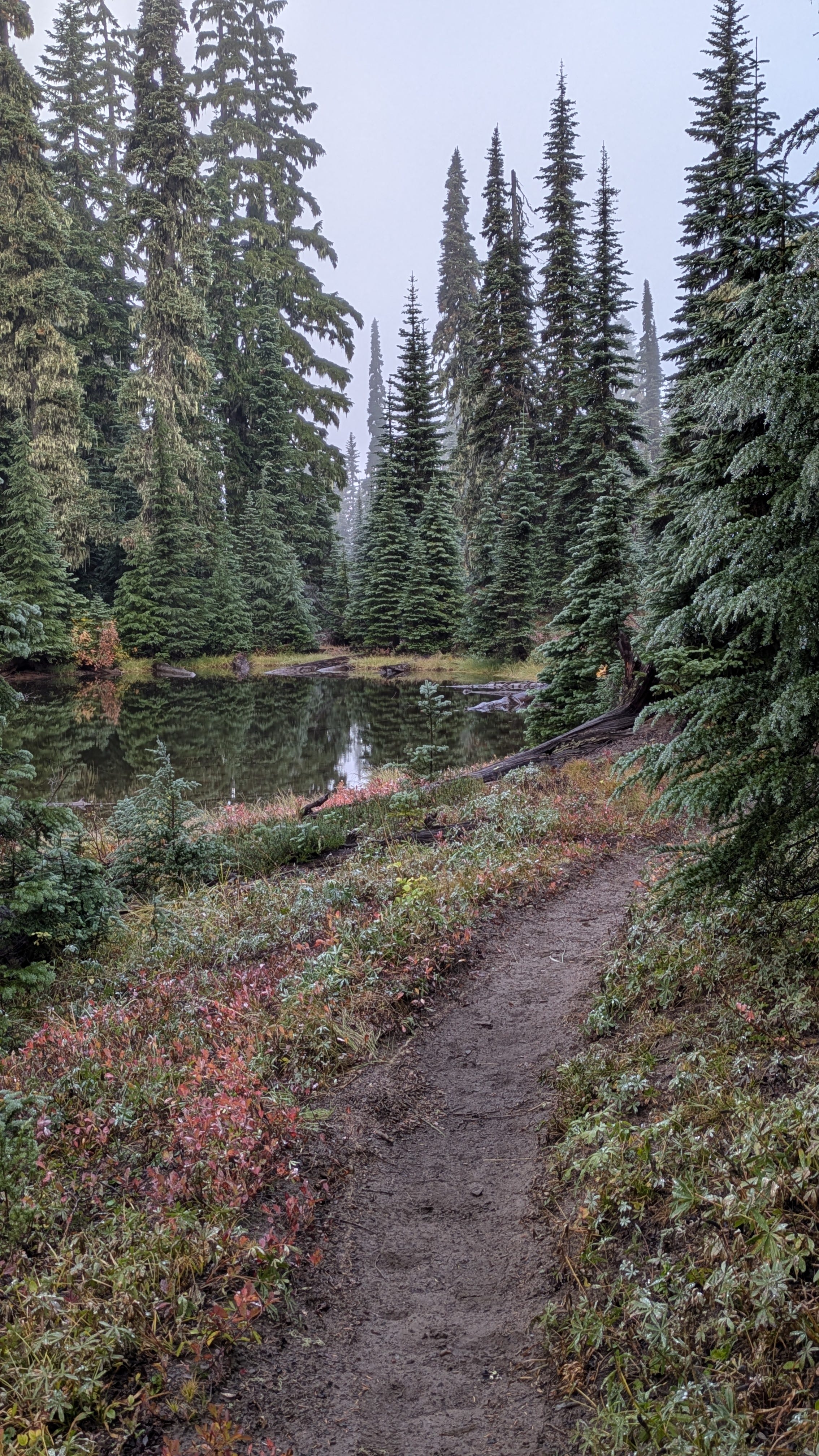 PCT Days 158-162 -- Sept 30th- October 4th