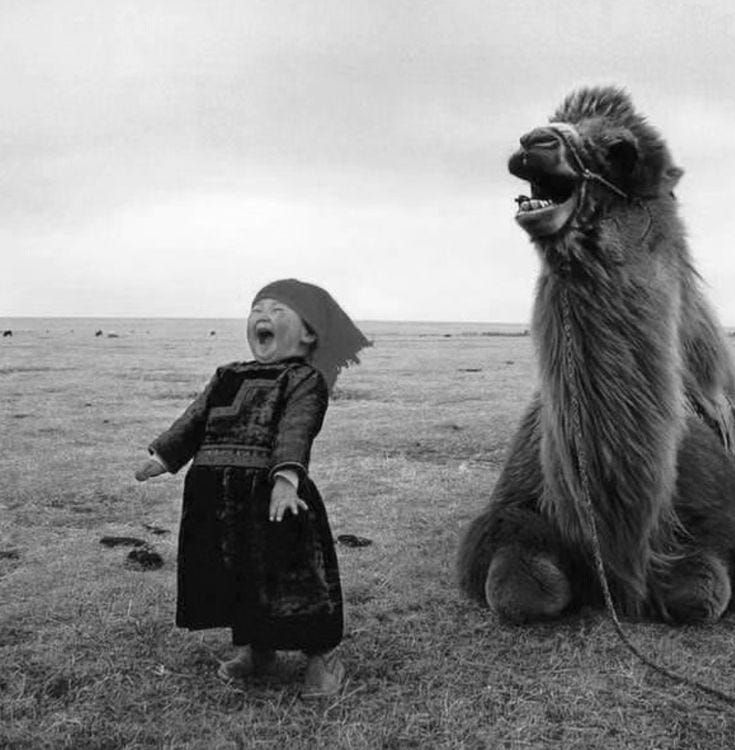 This may contain: a small child standing next to a large animal