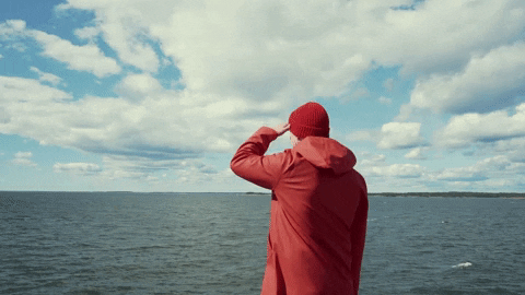 Islet Group GIF