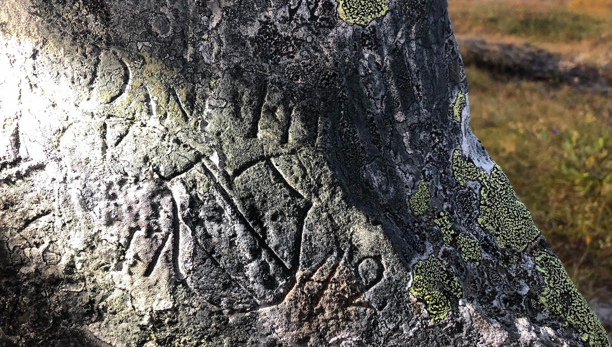 A coat of arms carved on a stone