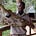 Kimutai Cherono's avatar