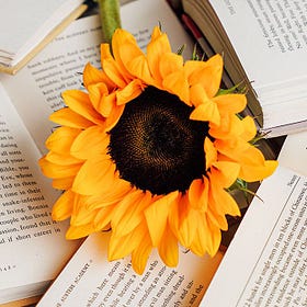 The Fear of Being Too Much Keeps Us Small.