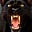 black jag energy's avatar