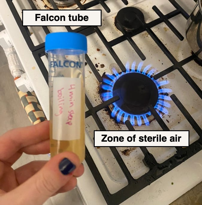 A hand holding a test tube with a blue cap on a gas stove

AI-generated content may be incorrect.