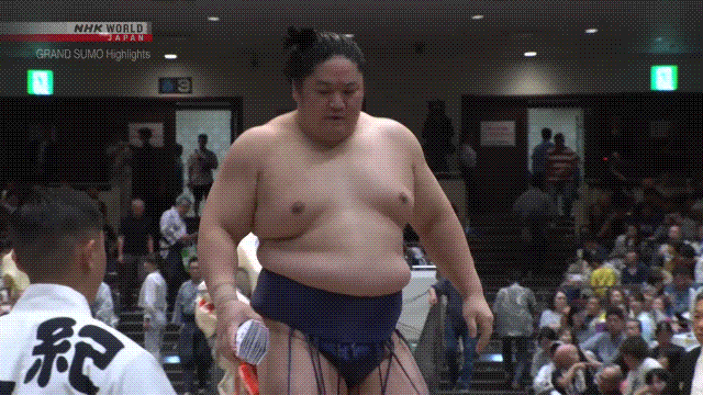2026 Aki Basho: Day 7 results and analysis - by Tim Edwards