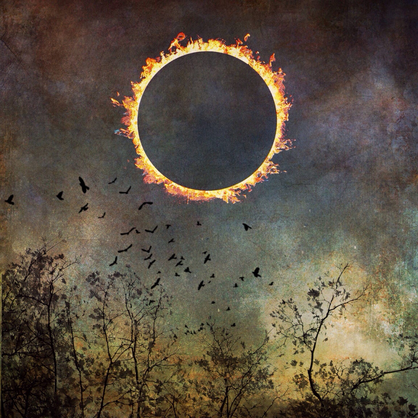 Totality PRINT - Solar Eclipse Dramatic Sky Photo, Aries Art Decor Birds Nature Landscape Surreal Astrology Home Wall Art Spiritual Sun Moon - Etsy Ireland Totality PRINT - Solar Eclipse Dramatic Sky Photo, Aries Art Decor Birds Nature Landscape Surreal Astrology Home Wall Art Spiritual Sun Moon - Etsy Ireland