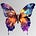 Cynthia Garner's avatar