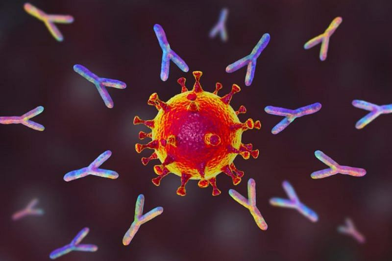 Two-thirds of Indians have antibodies, says govt