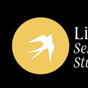 Sensemaking Studio: Find Out More – A Welcome Event