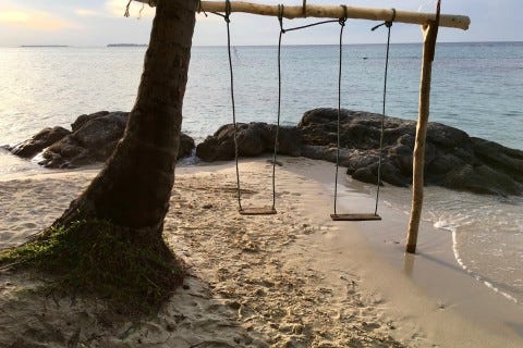 Popular with swingers. Photo: Sally Arnold Popular with swingers. Photo: Sally Arnold