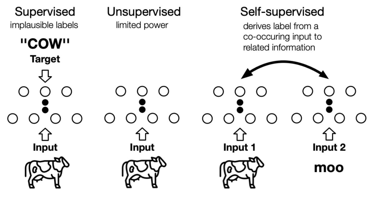 Breaking Down Self-Supervised Learning: Concepts, Comparisons, and Examples  | ml-articles – Weights & Biases