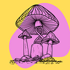 #20: The Evolution of Psychedelic Mushrooms with Dr. Jason Slot