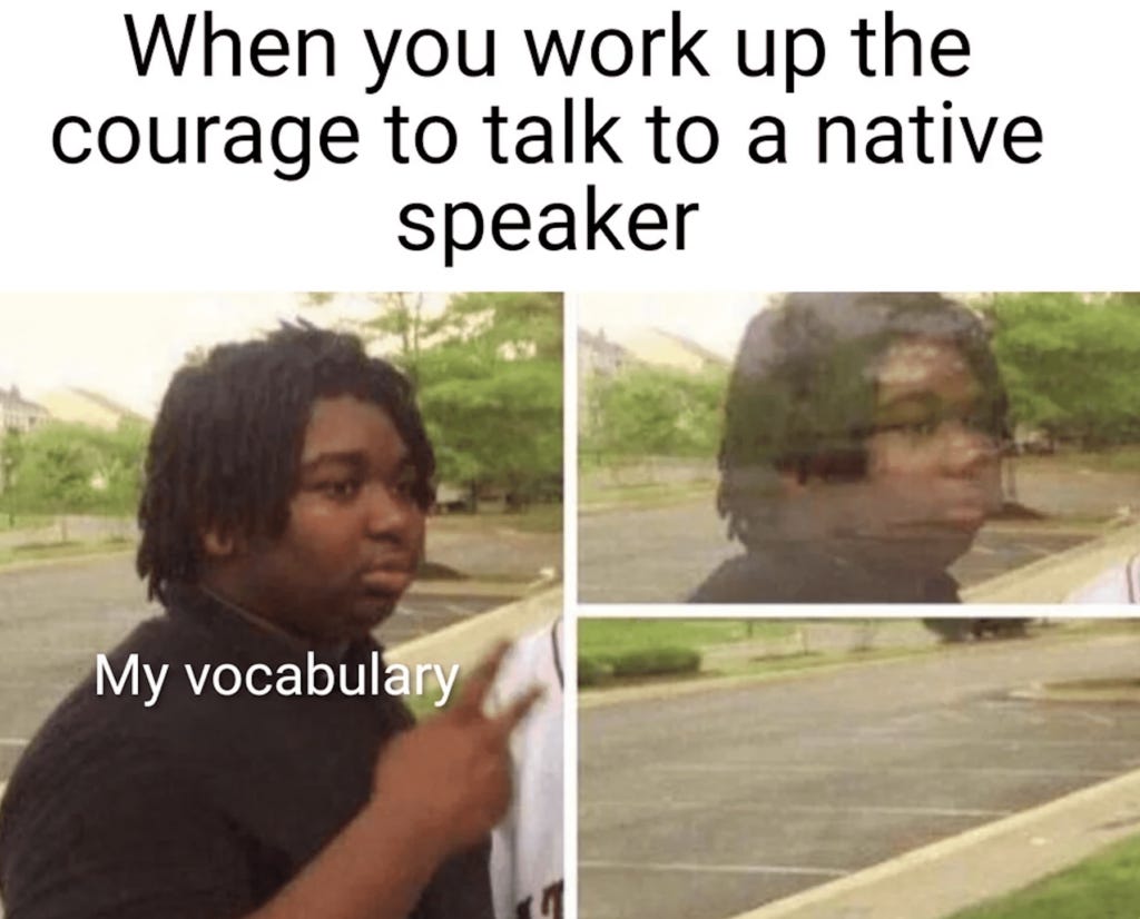 disappearing vocabulary meme : Second Language Strategies