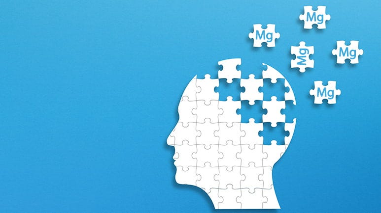 magnesium levels brain aging dementia risk