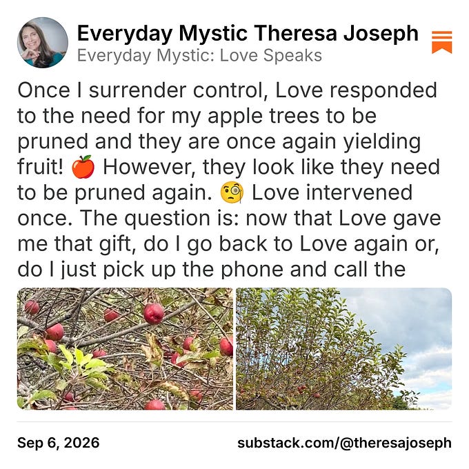 Everyday Mystic Theresa Joseph (@theresajoseph)