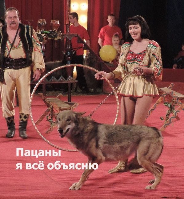 Самый смешной коммент из обсуждения ситуации на Хабре звучит так: «Волка выгнали из цирка» Самый смешной коммент из обсуждения ситуации на Хабре звучит так: «Волка выгнали из цирка»