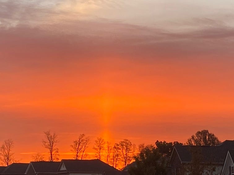 What Will it Profit?