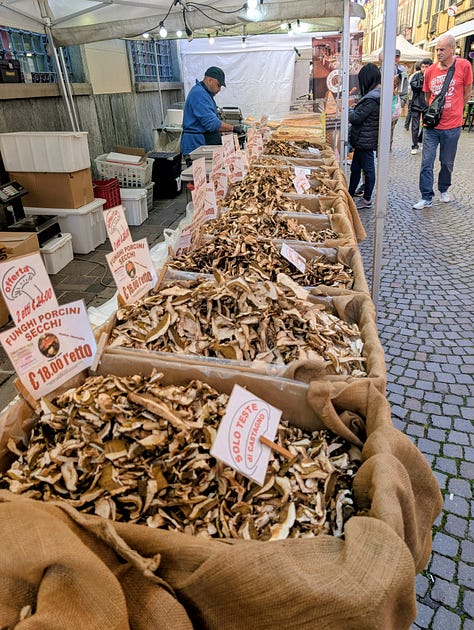 Porcini Festival