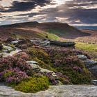 One Day In The 90s...