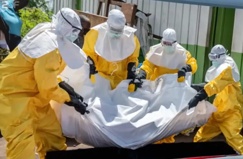 Alleged "Infection" vs. Toxic (Chemical) Exposure - PART 2. The Ebola fraud is simple: toxic arsenic exposure remains untested. Only the RT-PCR blood test is used. Afterword by Allen.