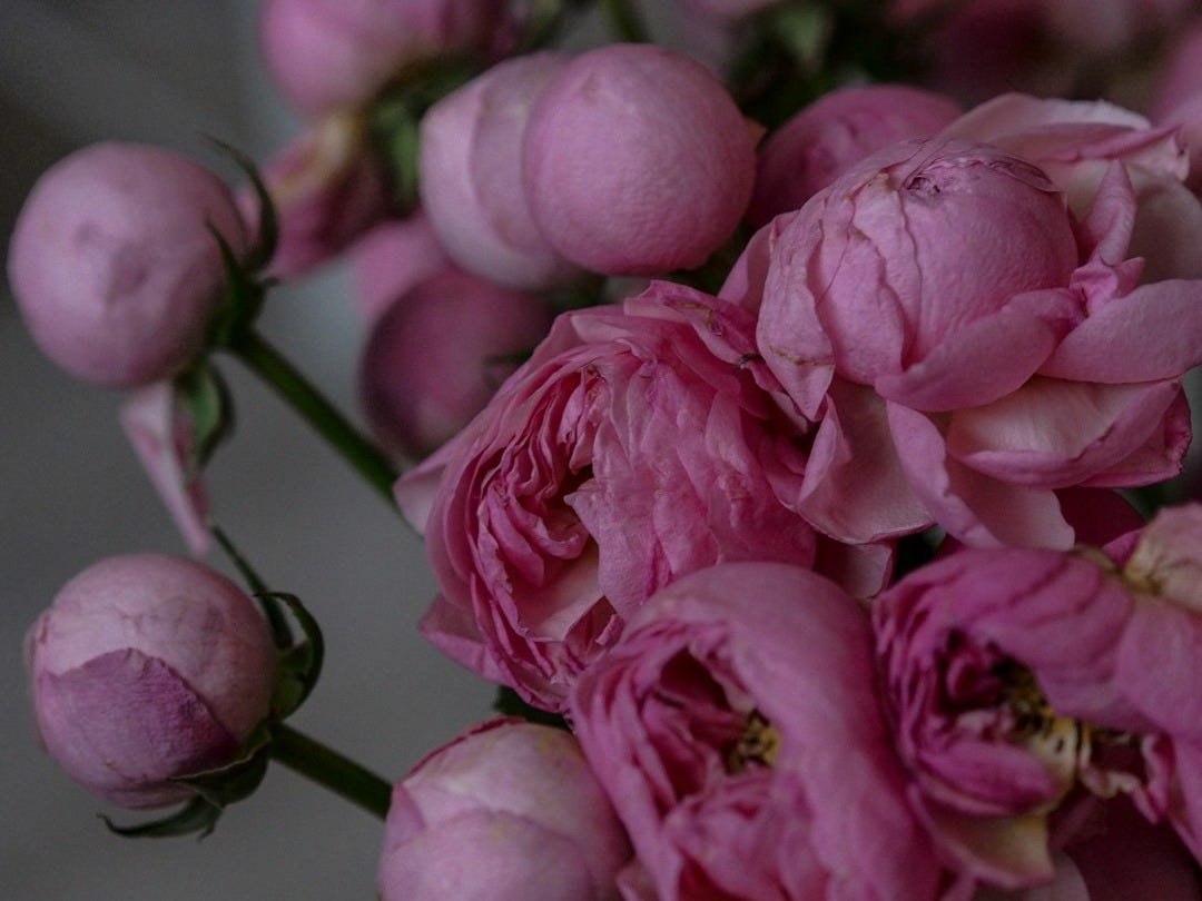 a vase filled with pink flowers on top of a table