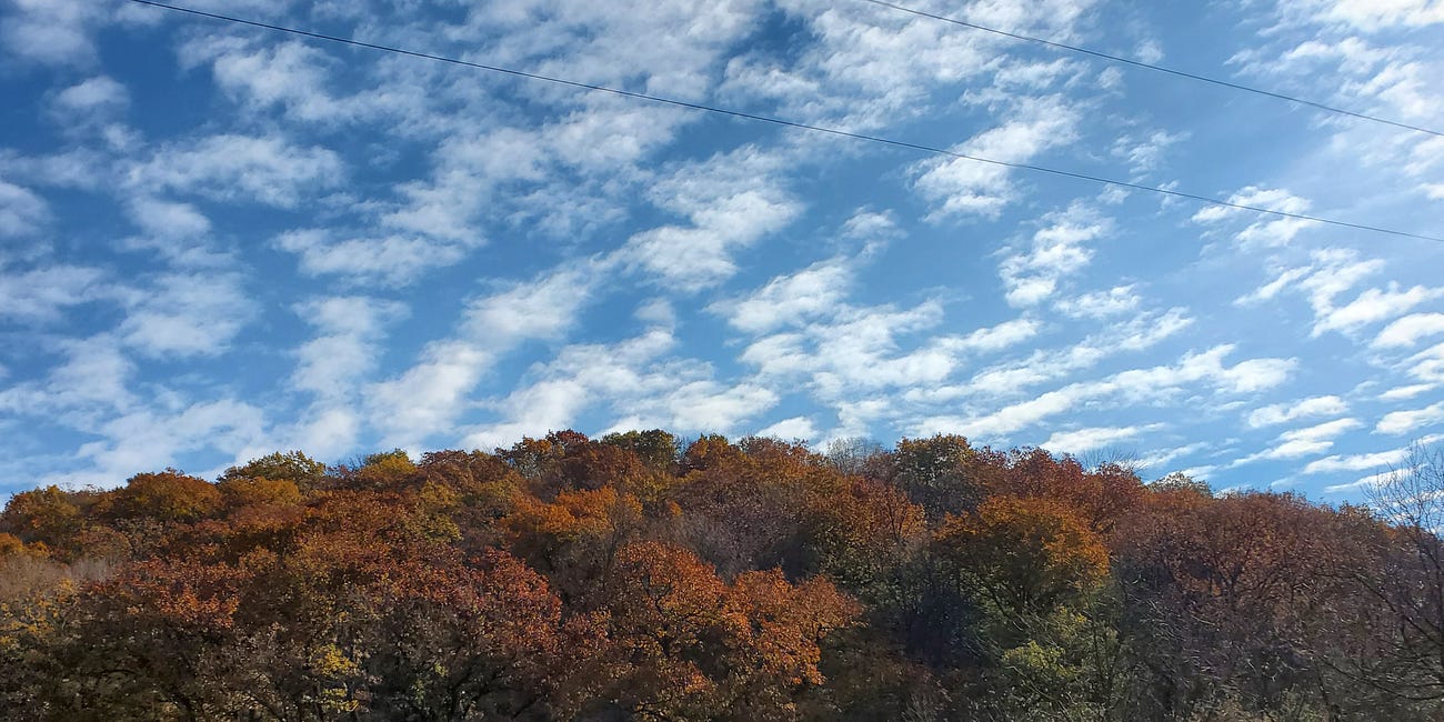 Episode 32: Yellow River State Forest