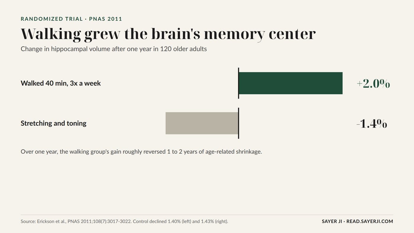 Change in hippocampal volume after one year. Source: Erickson et al., PNAS 2011.