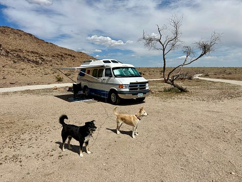 Desert landscapes, petroglyphs, cactus flower, campsite, and dogs