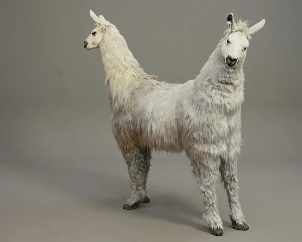 Doctor Doolittle - The Pushmi-Pullyu - 1967 by Model Magic | Download free STL model | Printables.com