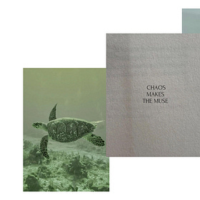 pretty little things from 04.27.25