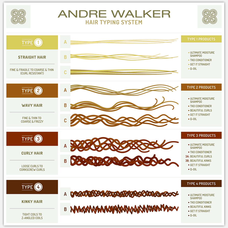 The Hair Chart - 99% Invisible