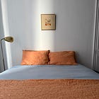 NYC Apartment Diaries, Vol. 1