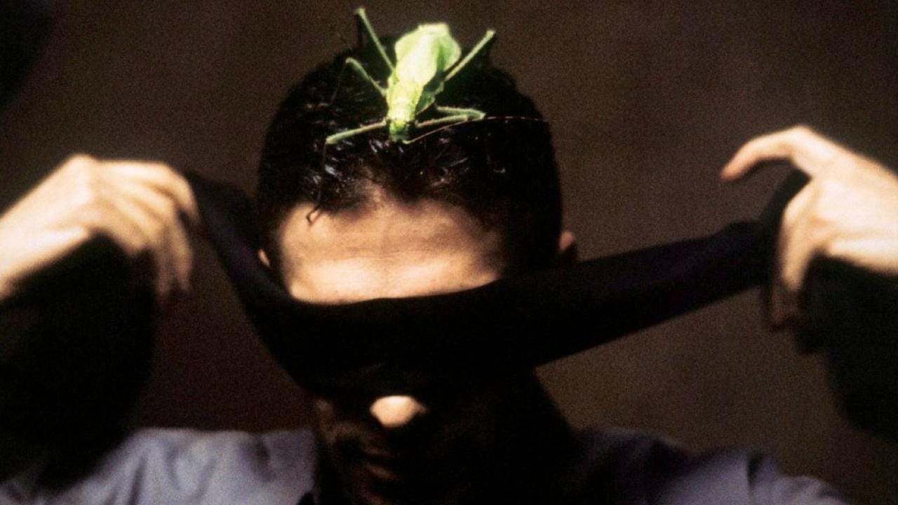 Intacto (2001) | MUBI