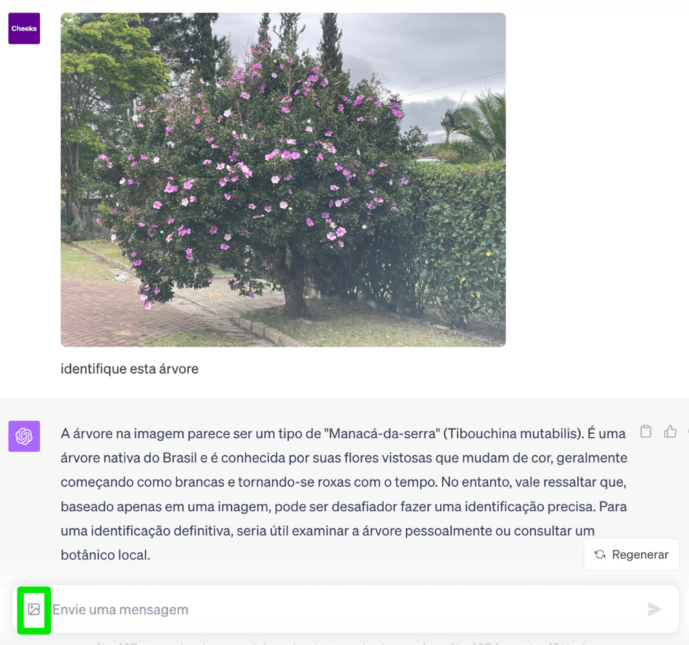 Figura 6 inteligencia artificial chatgpt-4 identificando especie de árvores
