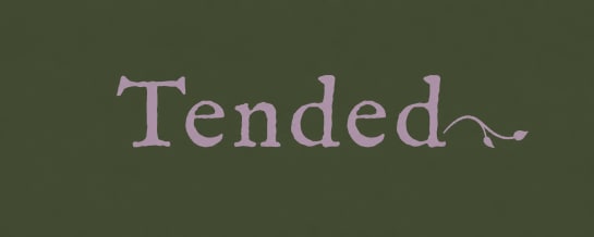 Tended