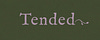 Tended