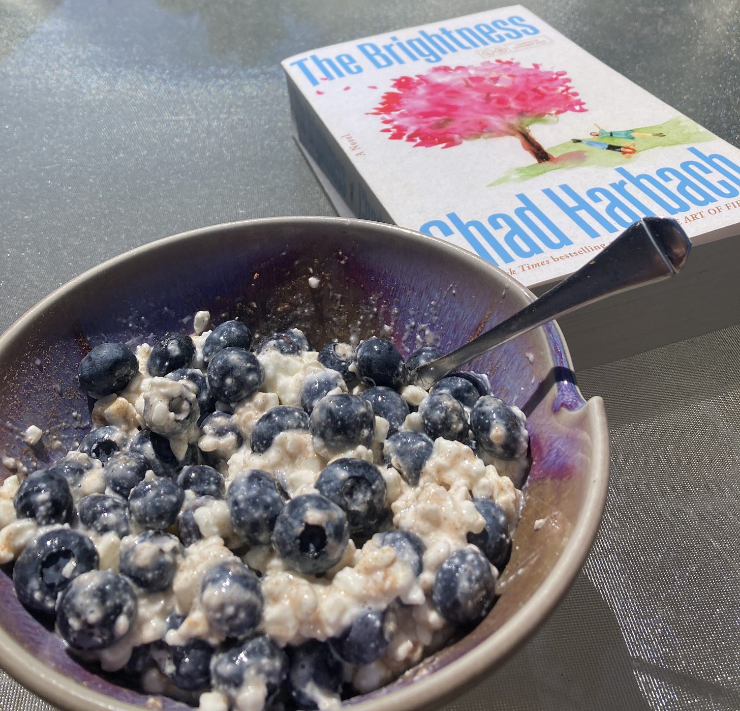 Blueberries, cottage cheese, and The Brightness by Chad Harbach