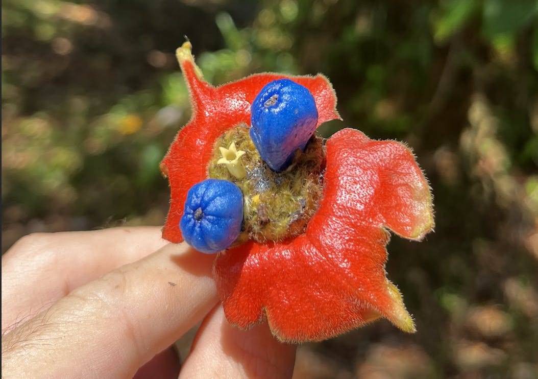 035: To Be, Or Not to Be... 035: To Be, Or Not to Be...