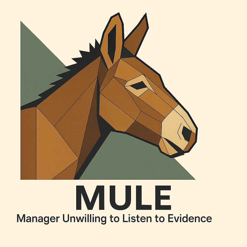 mule