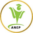 ANEP's avatar